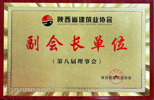 陜建協副會長單位-有色建設（第八屆理事會）_副本_副本.png